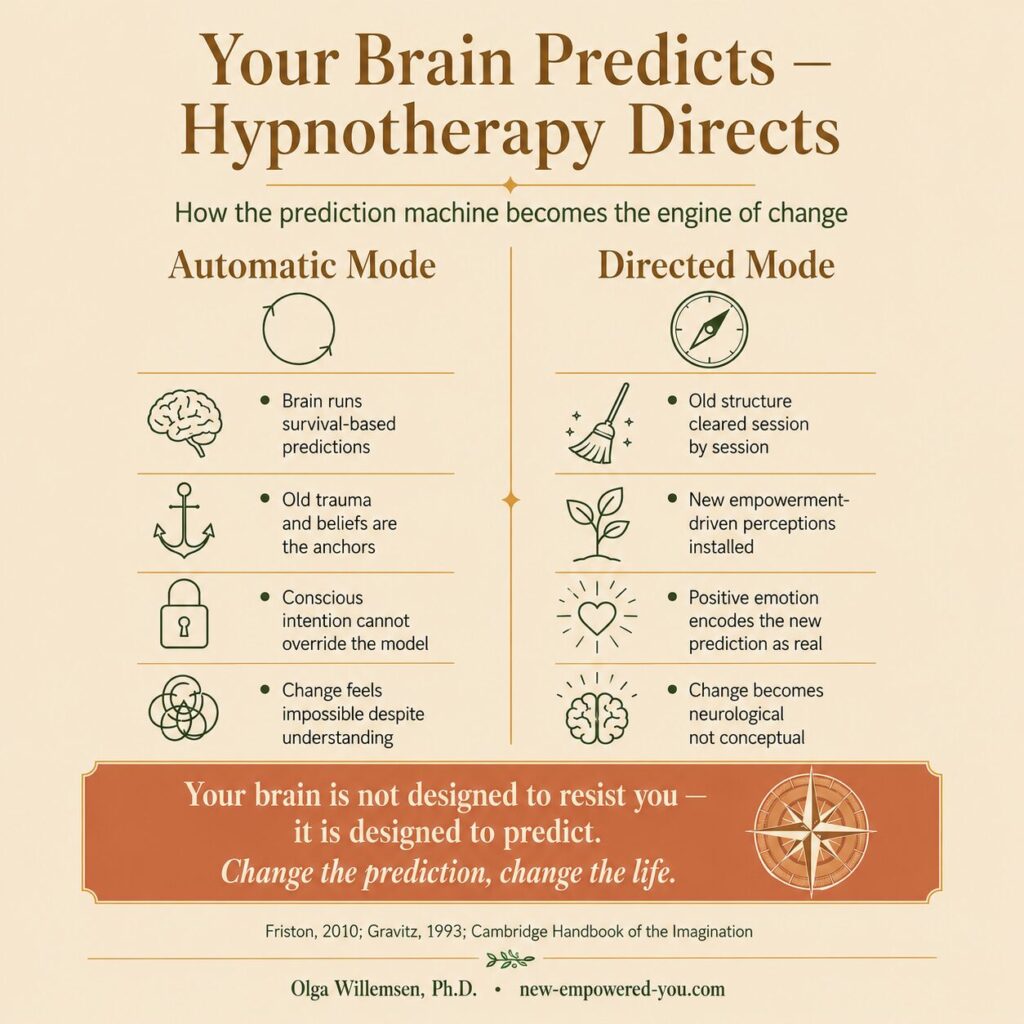 how hypnotherapy works | Editorial infographic titled Your Brain Predicts, Hypnotherapy Directs, comparing Automatic Mode (survival-based predictions) and Directed Mode (empowerment-driven perceptions) in two columns, with a terracotta insight band at the bottom reading Change the prediction, change the life, by Olga Willemsen Ph.D.