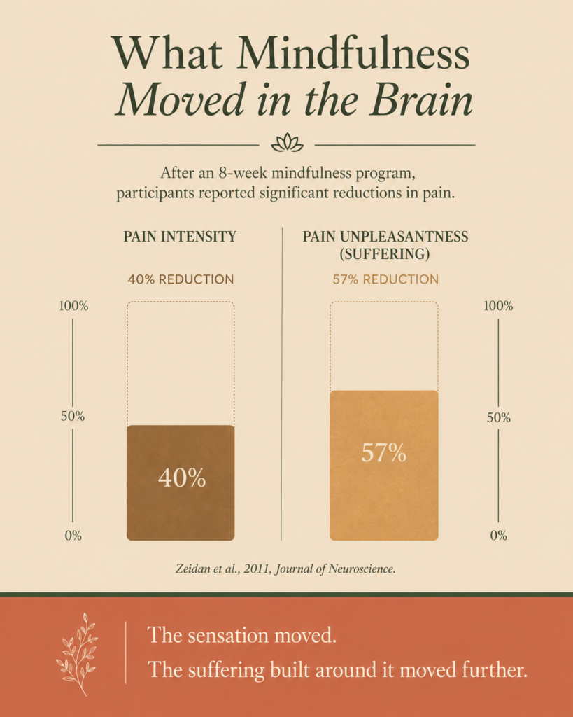 How to Stop Overthinking and Come Back to Your Body 4 Bar chart showing a 40% reduction in pain intensity and 57% reduction in suffering from brief meditation training | how to stop overthinking and get back into your body