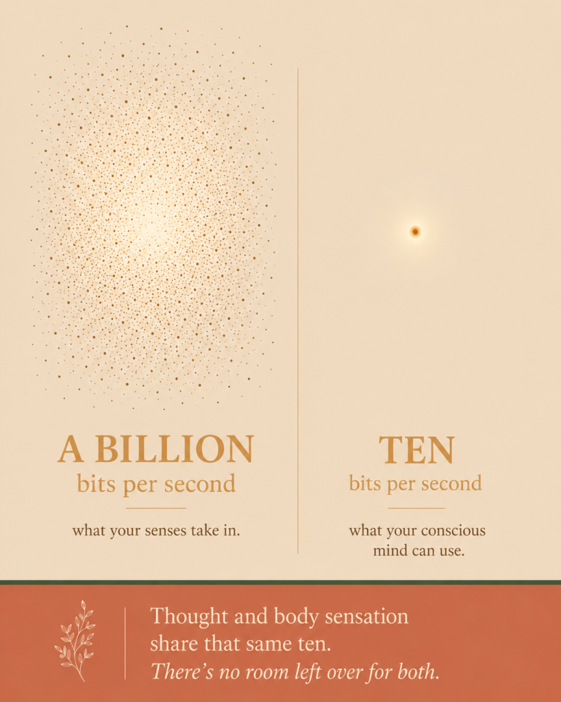 How to Stop Overthinking and Come Back to Your Body 2 Infographic comparing a billion bits of sensory input per second to the ten bits your conscious mind can use | how to stop overthinking and get back into your body