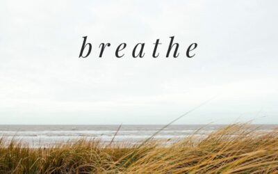 breathing for wellbeing | breathign exercise | breathing practice