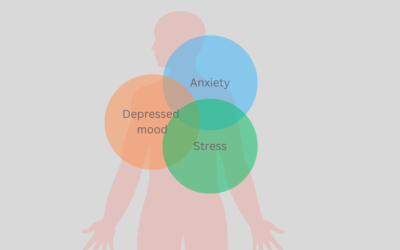 mental health diagnosis overlap | new empowered you hypnotherapy | wellbeing blog