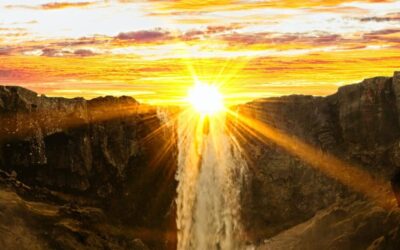 Supplements for mental health | wellbeing blog